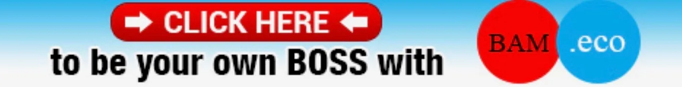 BAM.eco - Be Your Own Boss