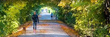 Scenic parks and natural landscapes in Hamilton County Indiana with warm sunlight filtering through trees