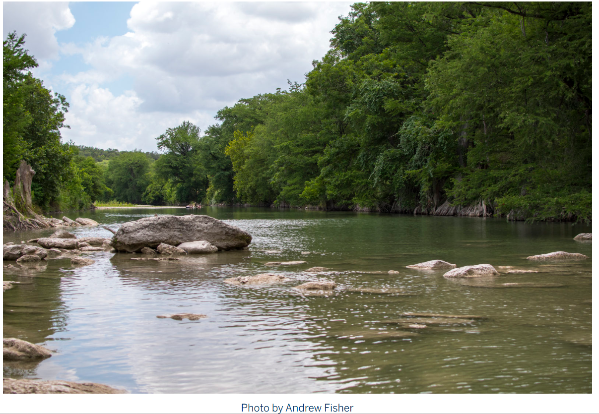 Ground-level view of Hill Country river recreation near the Spring Branch area