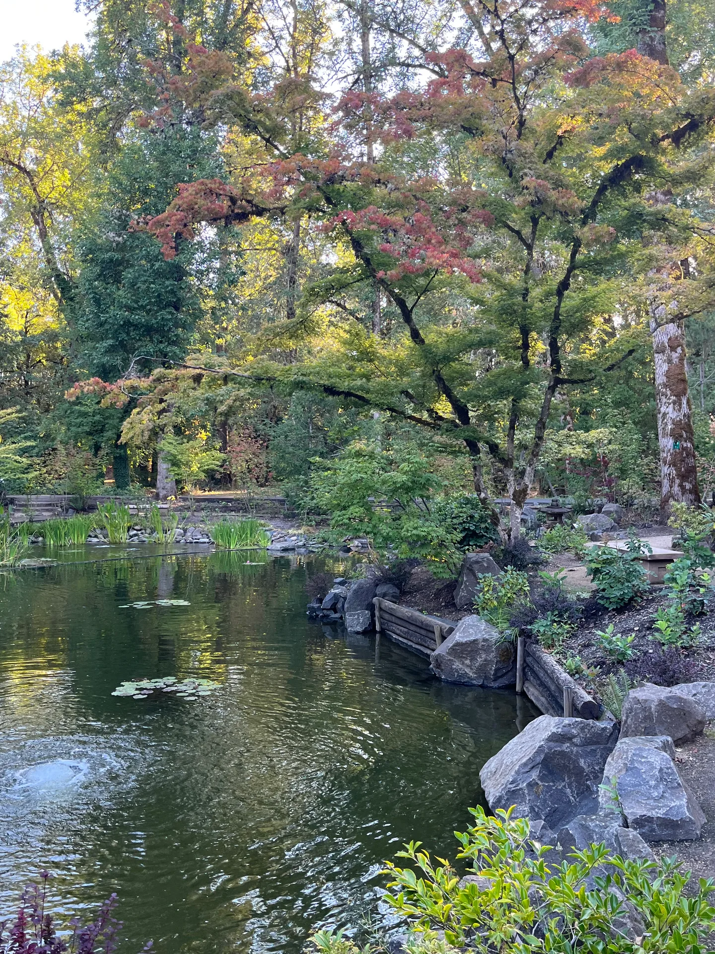 Japanese Garden in Dallas City Park, Oregon, with stone lantern and tranquil landscaping