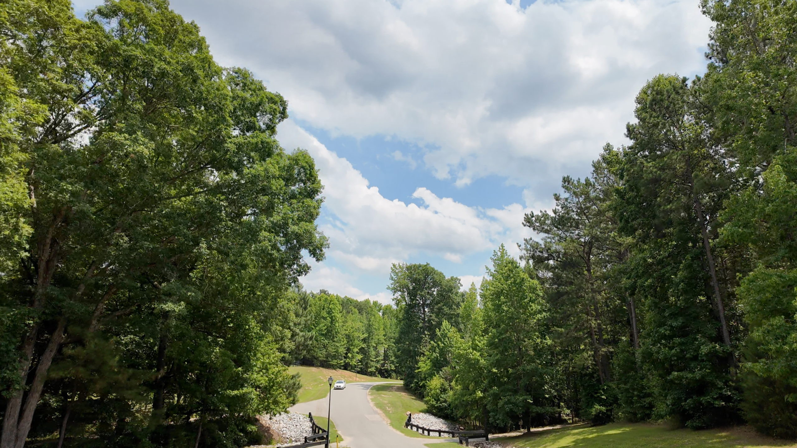 Tree-lined entrance road in Portofino community