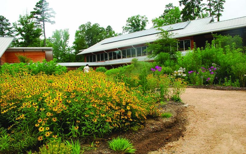 North Carolina Botanical Garden native plant collections and education center in Chapel Hill NC