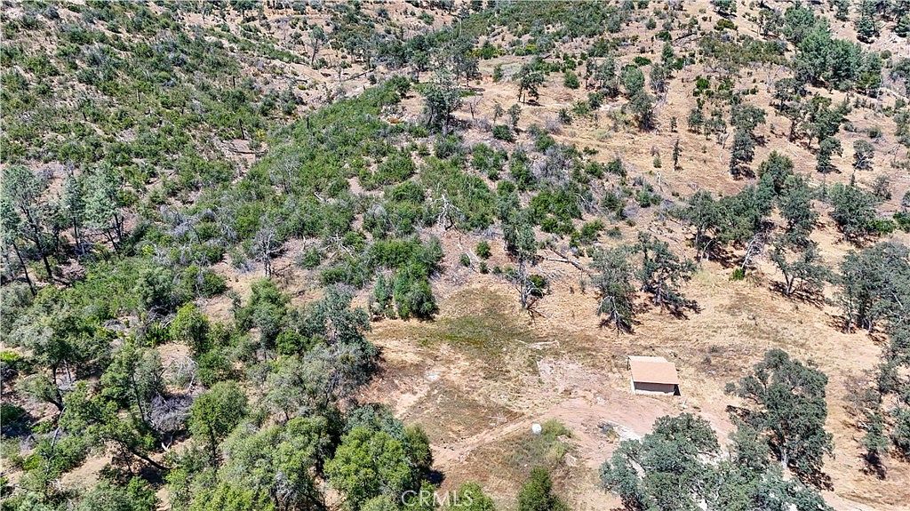 Open meadow area of the 34-acre Mariposa property