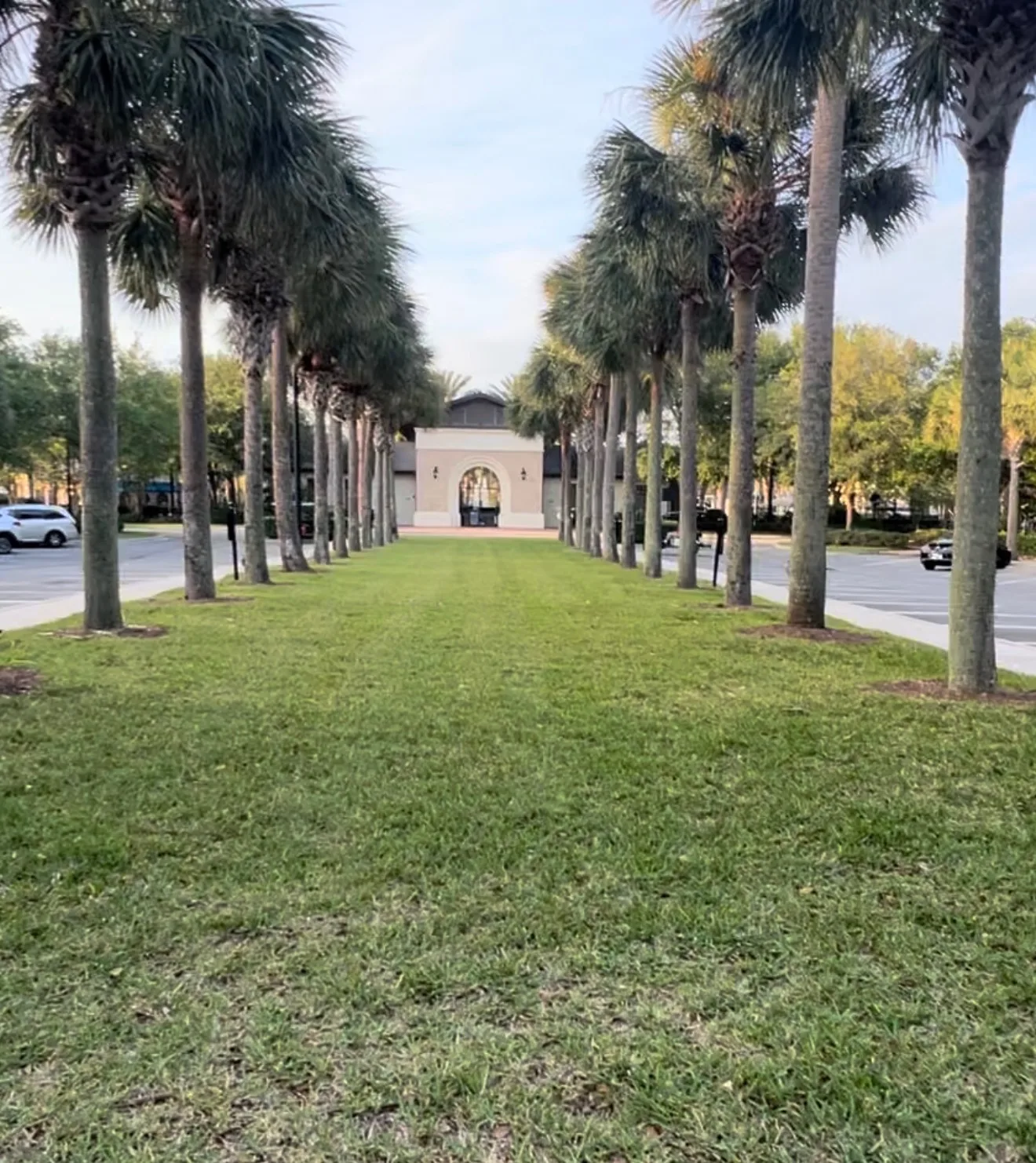 A palm-lined walkway leading into Nocatee Town Center, Florida