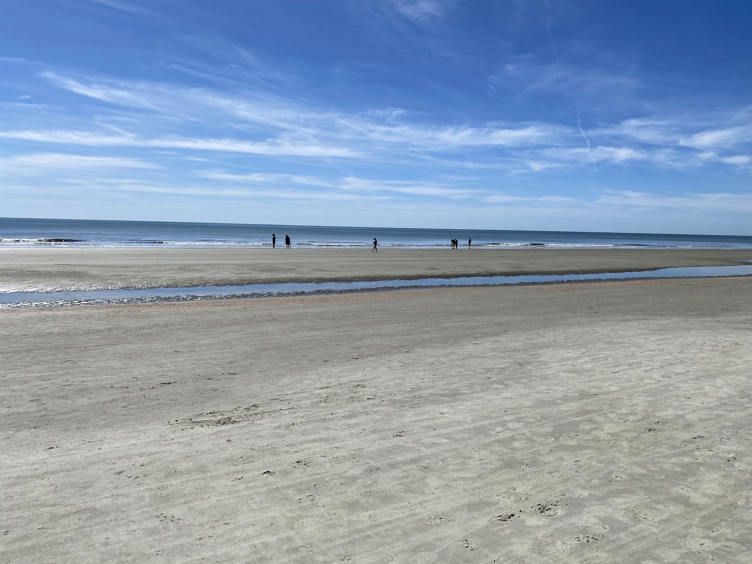Wide sandy beach under a blue sky on Hilton Head Island