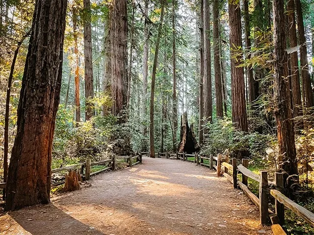 Felton neighborhood in Santa Cruz County California