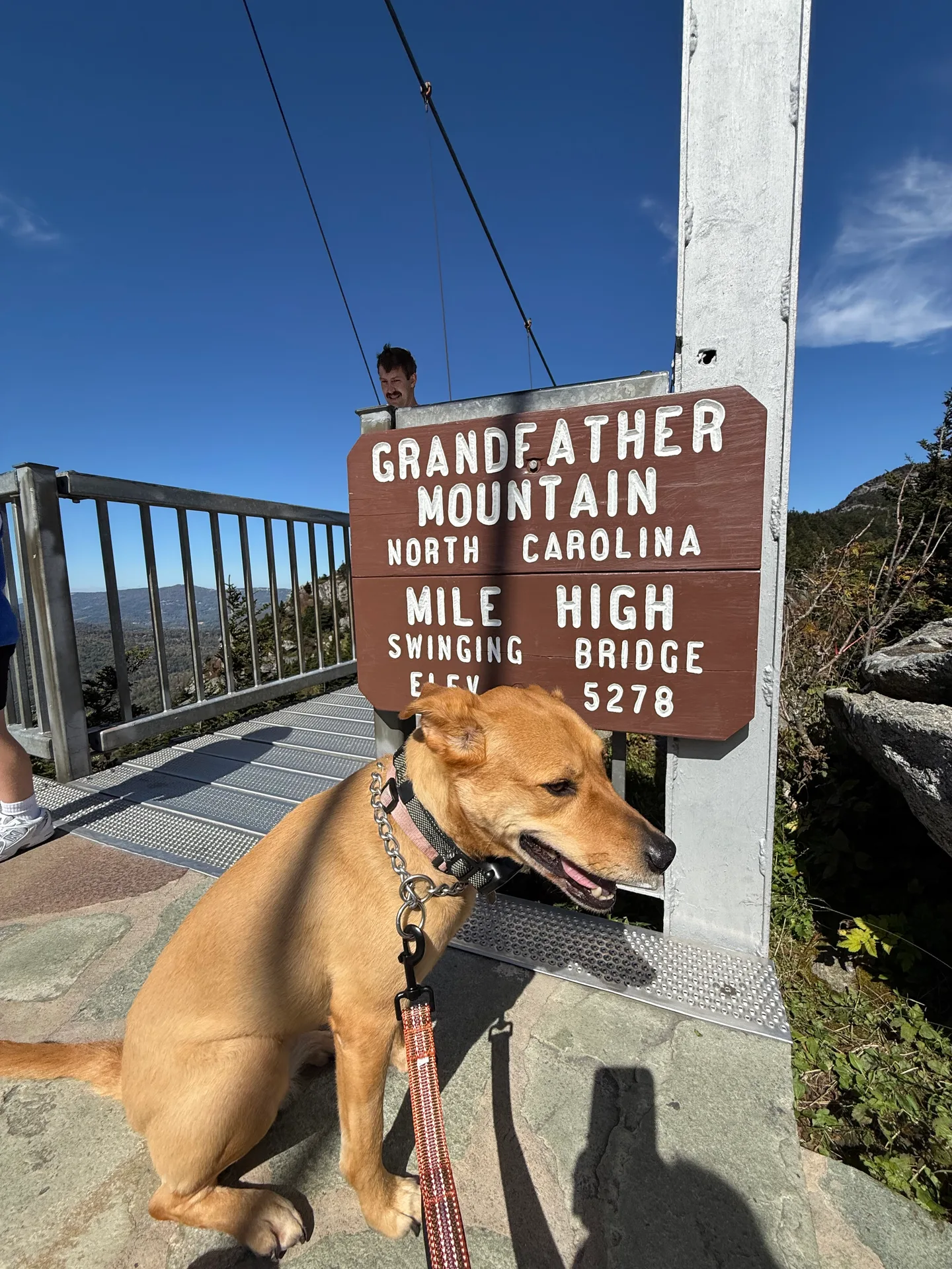 The Mile High Swinging Bridge sign at 5,278 feet on Grandfather Mountain, with a dog beside the lookout