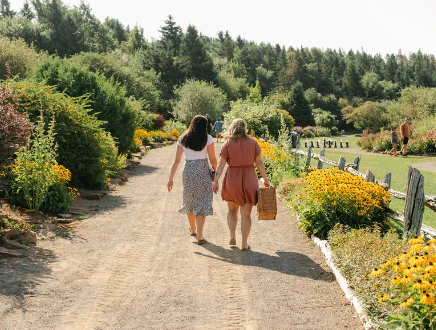 The Gardens of Hope, a community garden in the River Clyde Valley