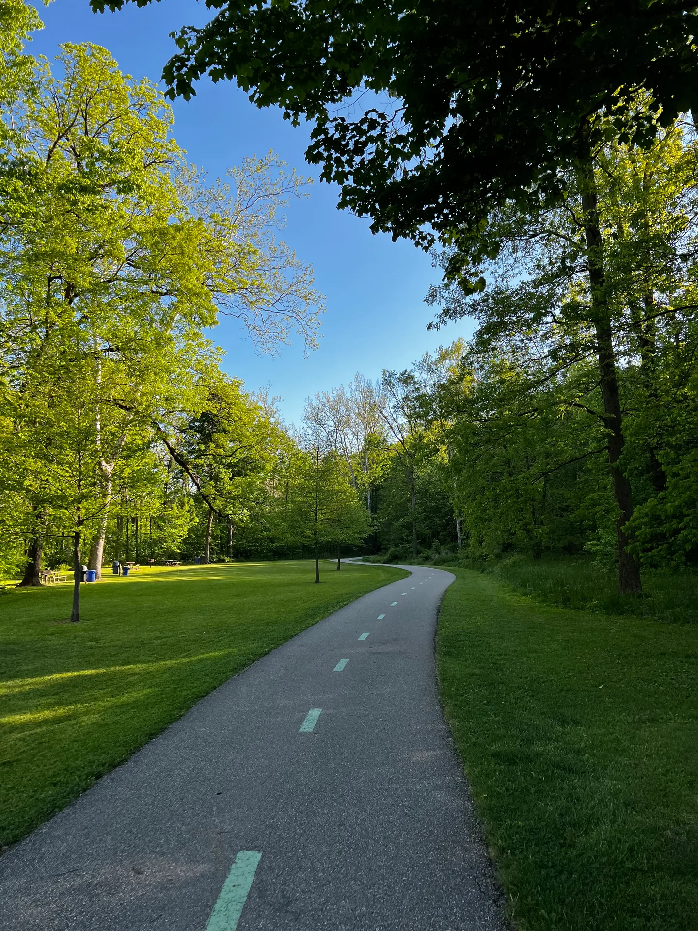 Walking trail winding through a forested area at Hinckley Reservation