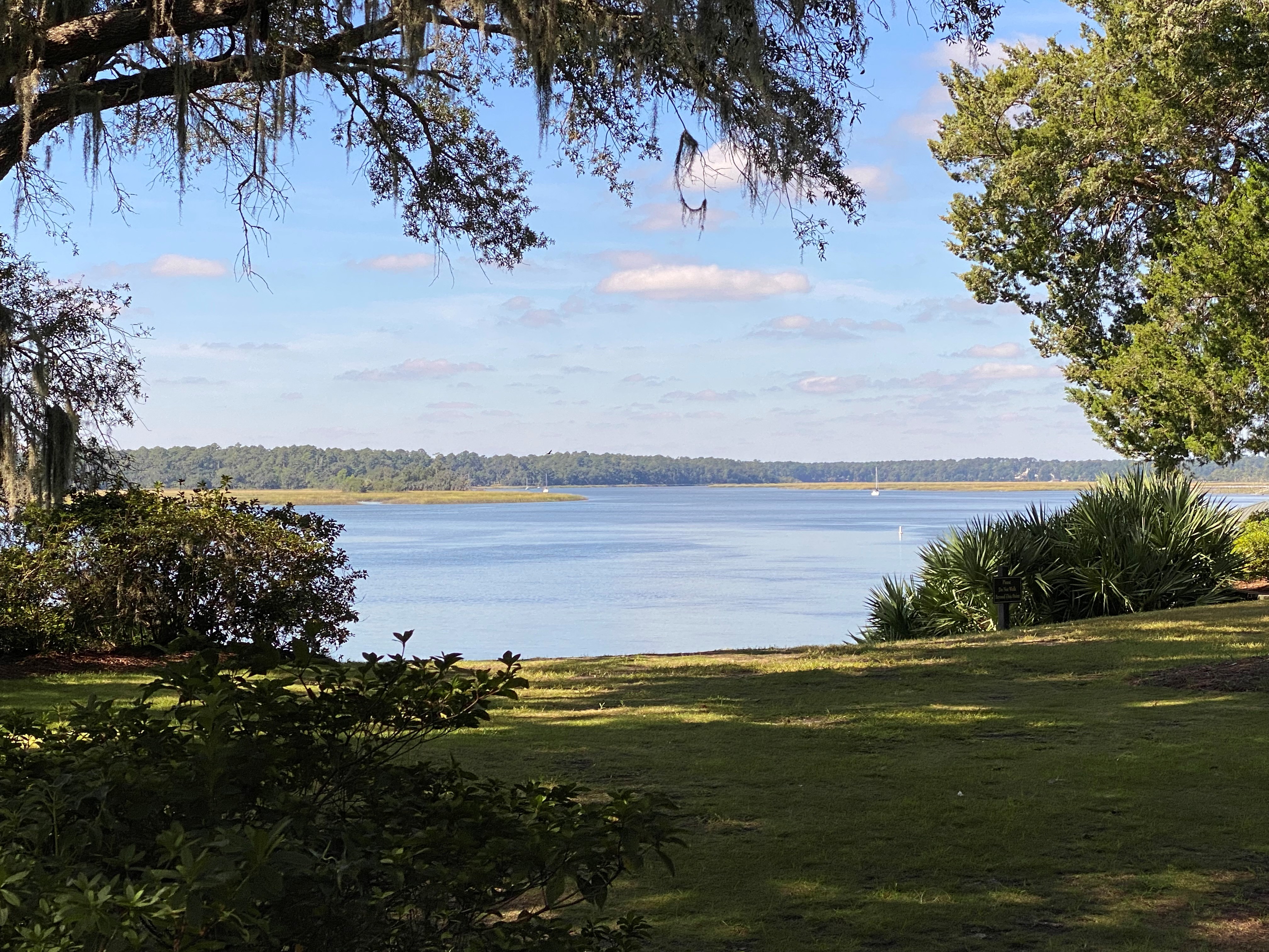Calm river view from a shaded grassy bank framed by Spanish moss, with blue water and sky