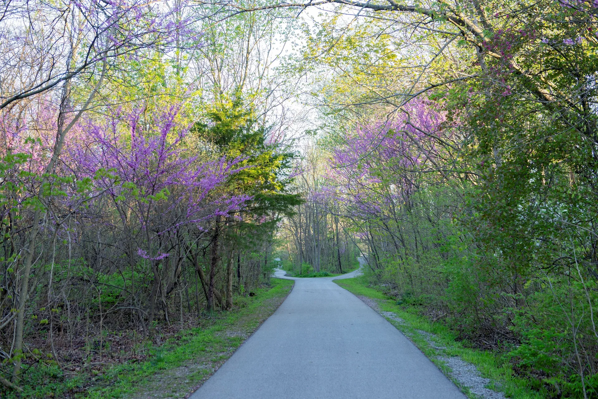 Scenic parks and natural landscapes in Hamilton County Indiana with warm sunlight filtering through trees