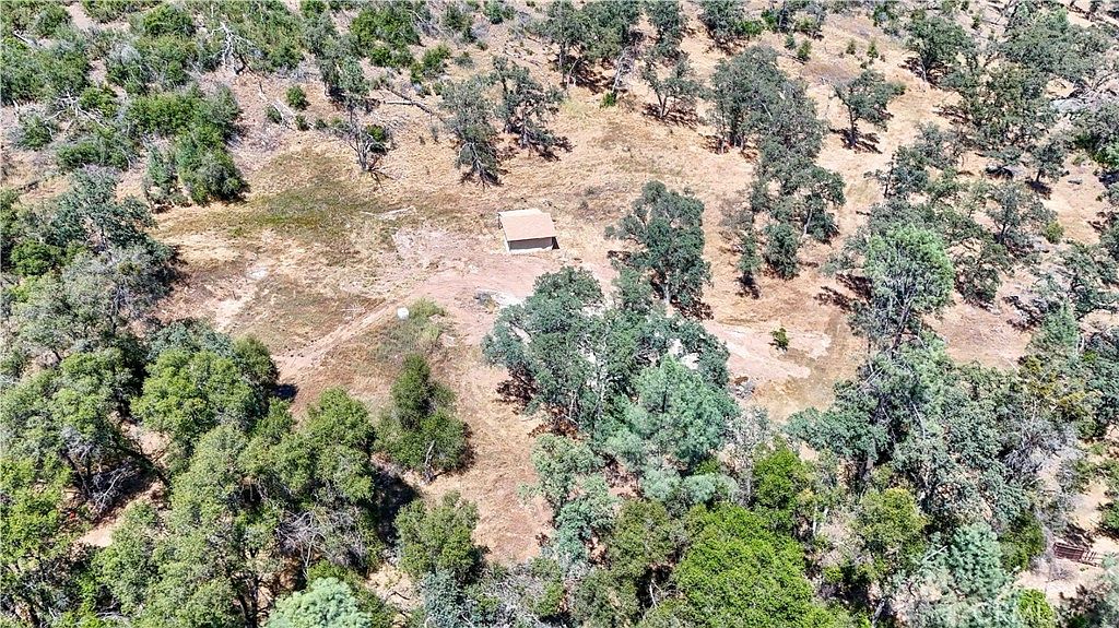 View of the property between Hummingbird Ridge and Guadalupe Creek