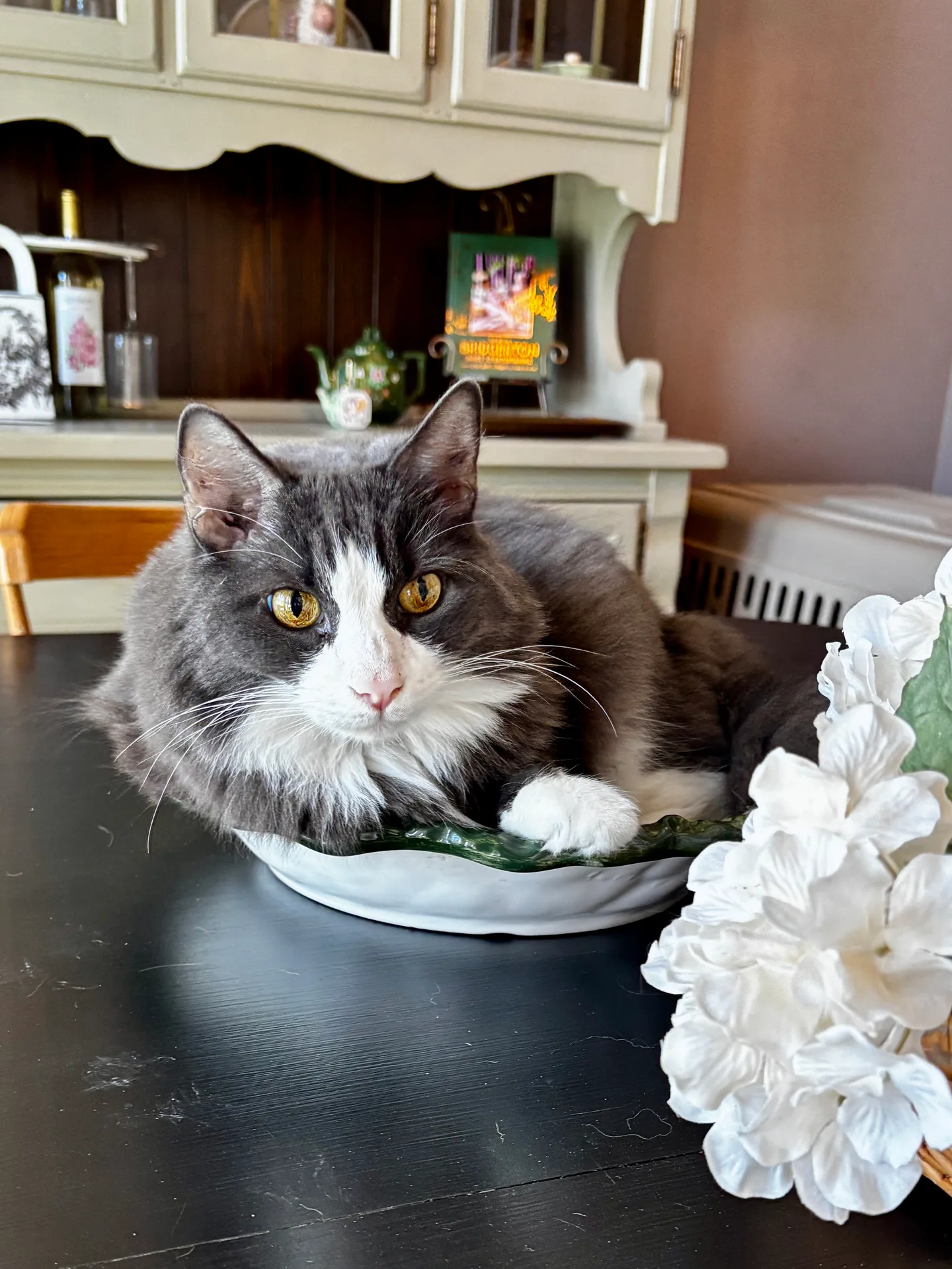 A cat sitting in a bowl on a table