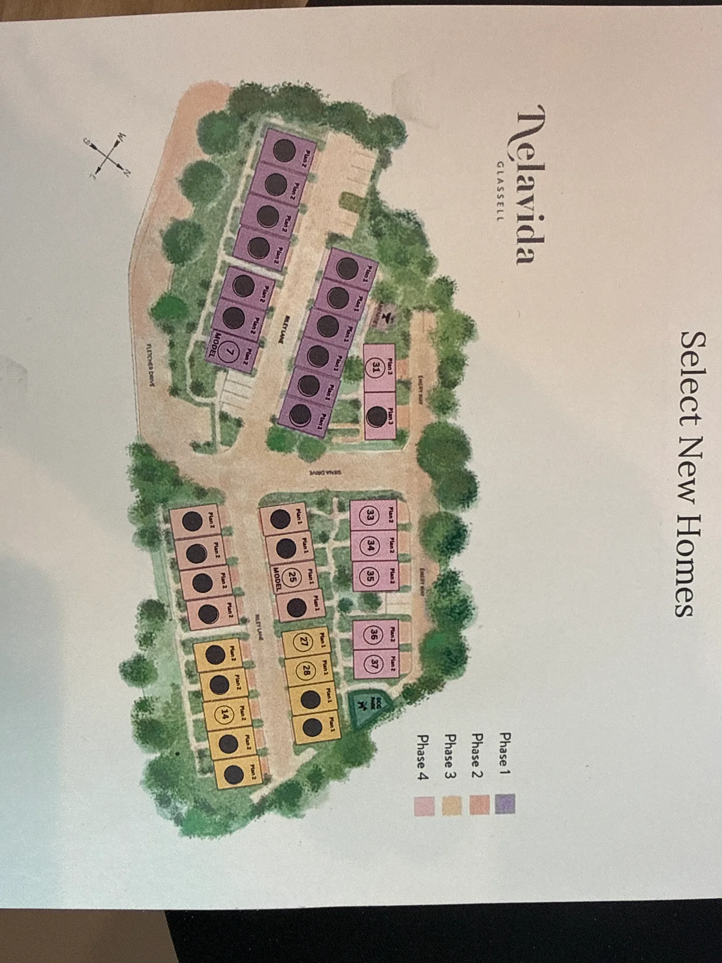 Master plan for Nelavida Glassell, a new-construction community in Los Angeles County, CA, with multiple phases
