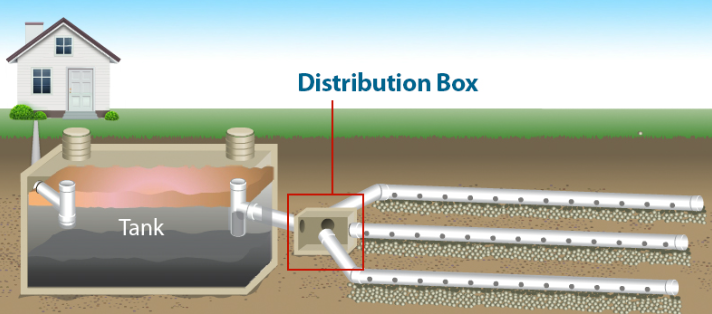 Instructional diagram of a home septic system showing the house, septic tank, distribution box, and drain field
