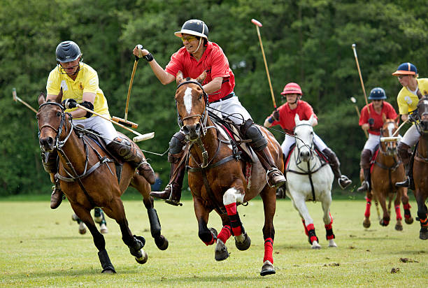 Polo players on horseback during a match on the field