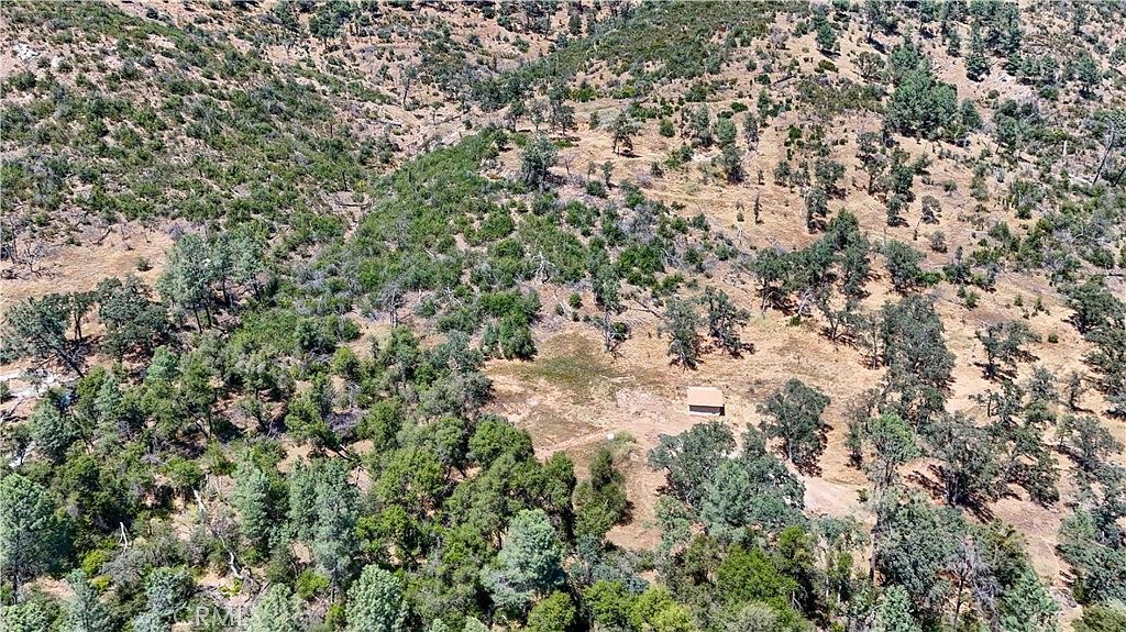Natural terrain of the land with brush and scattered trees