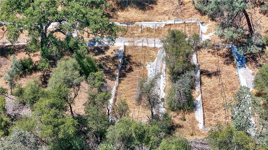 View of Guadalupe Creek seasonal stream on the property