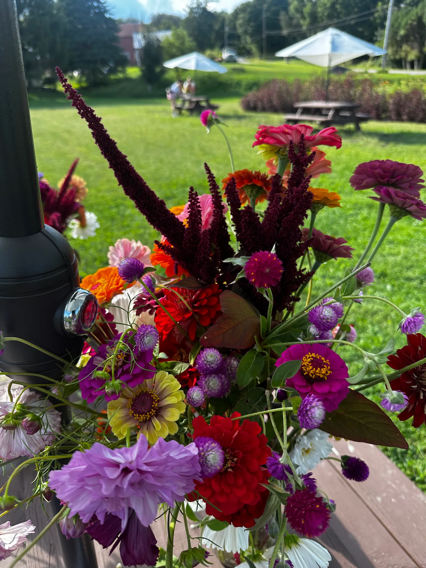Zinnias and flowers in bloom at Hudson Wildflower Co.
