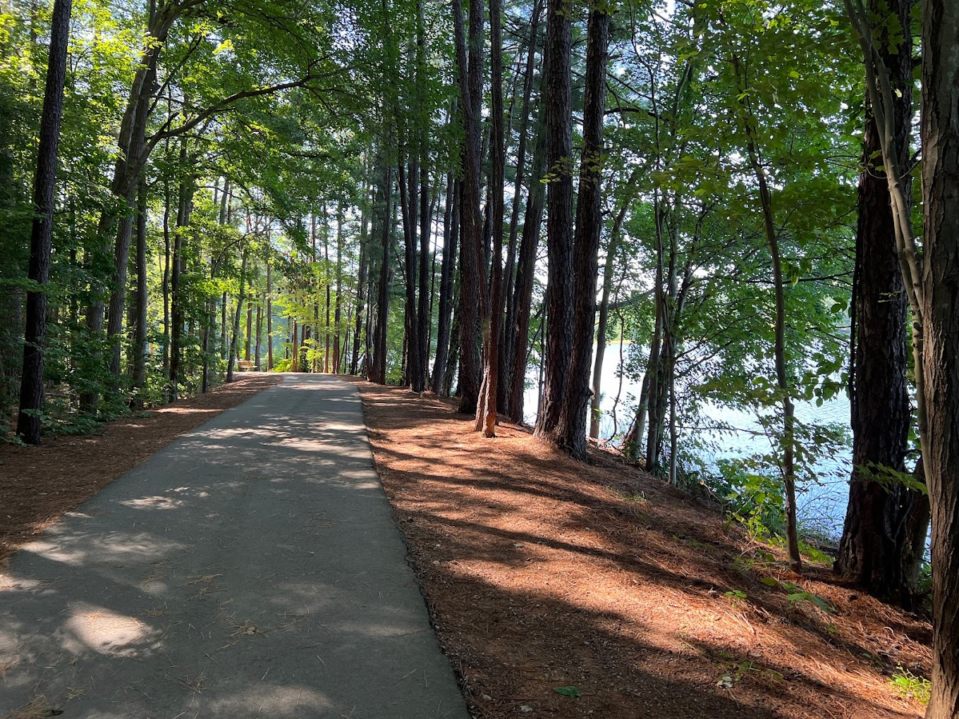 Apex Community Park in Apex, NC - a 160-acre park with a 50-acre lake, fishing dock, and fitness trails