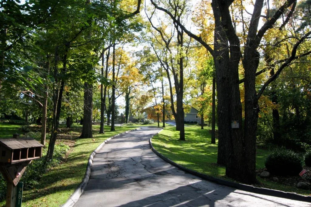 A sunlit wooded driveway in early autumn leading toward a home in Ann Arbor Hills