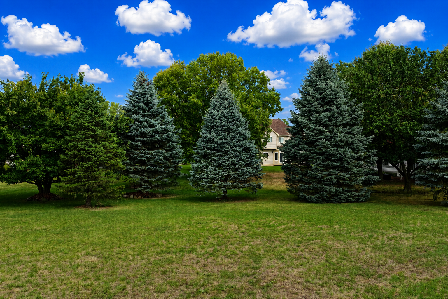 Back yard at 2295 Hidden Forest Drive, Grand Blanc, Michigan