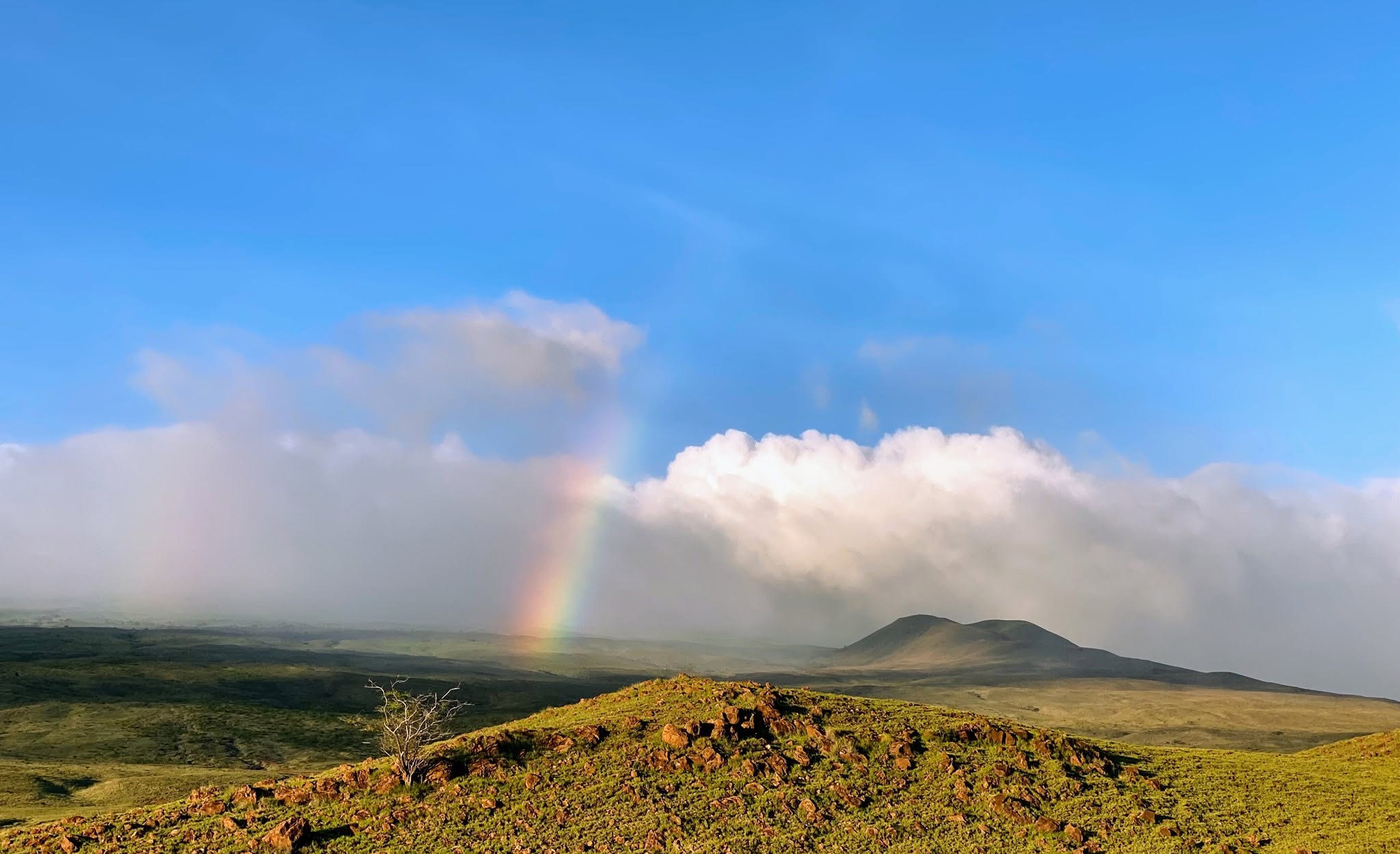 A rainbow over Kohala Mountain above the dry coast