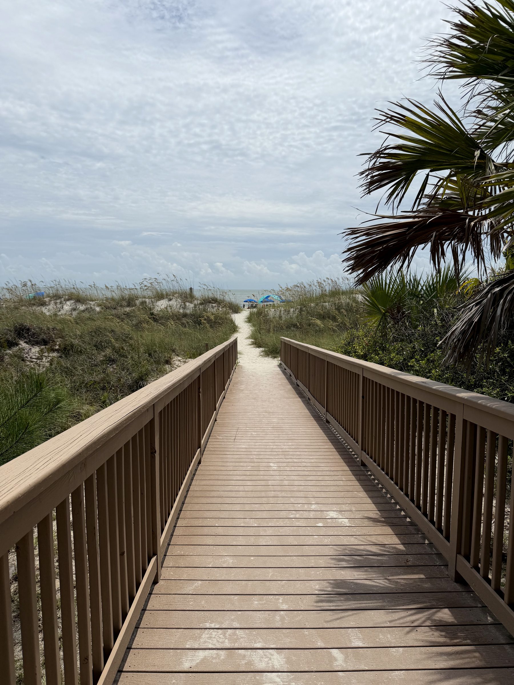 Boardwalk beach access through the dunes on Hilton Head Island