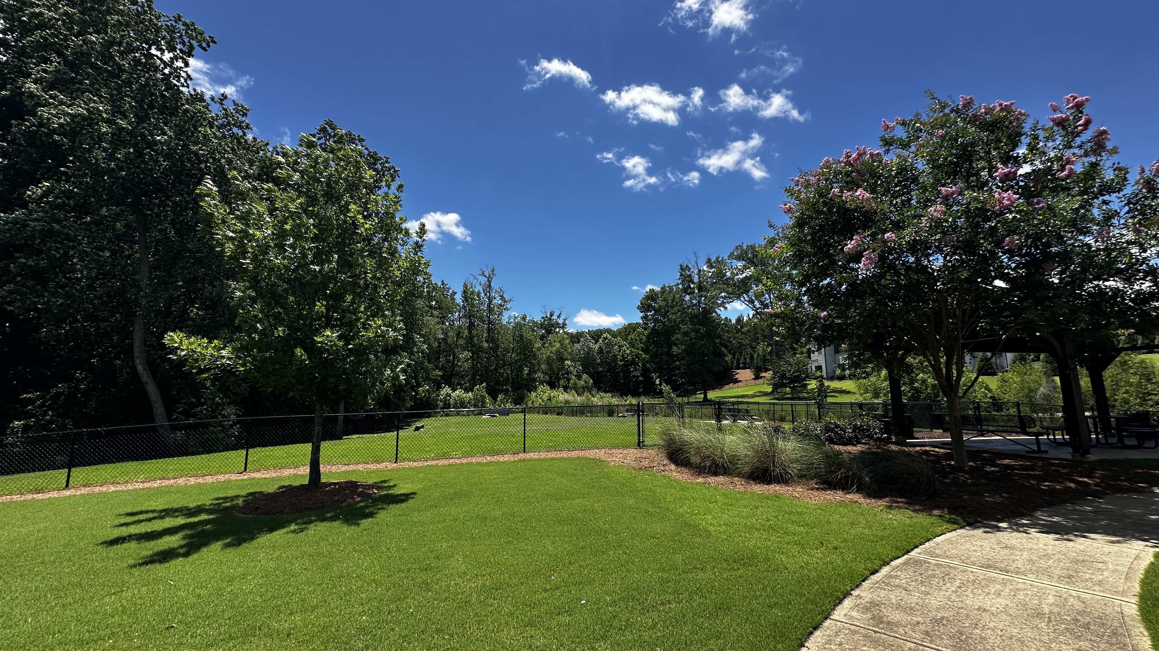 Covered Bridge dog park at Chateau Elan showing the fenced play area with green grass and surrounding trees
