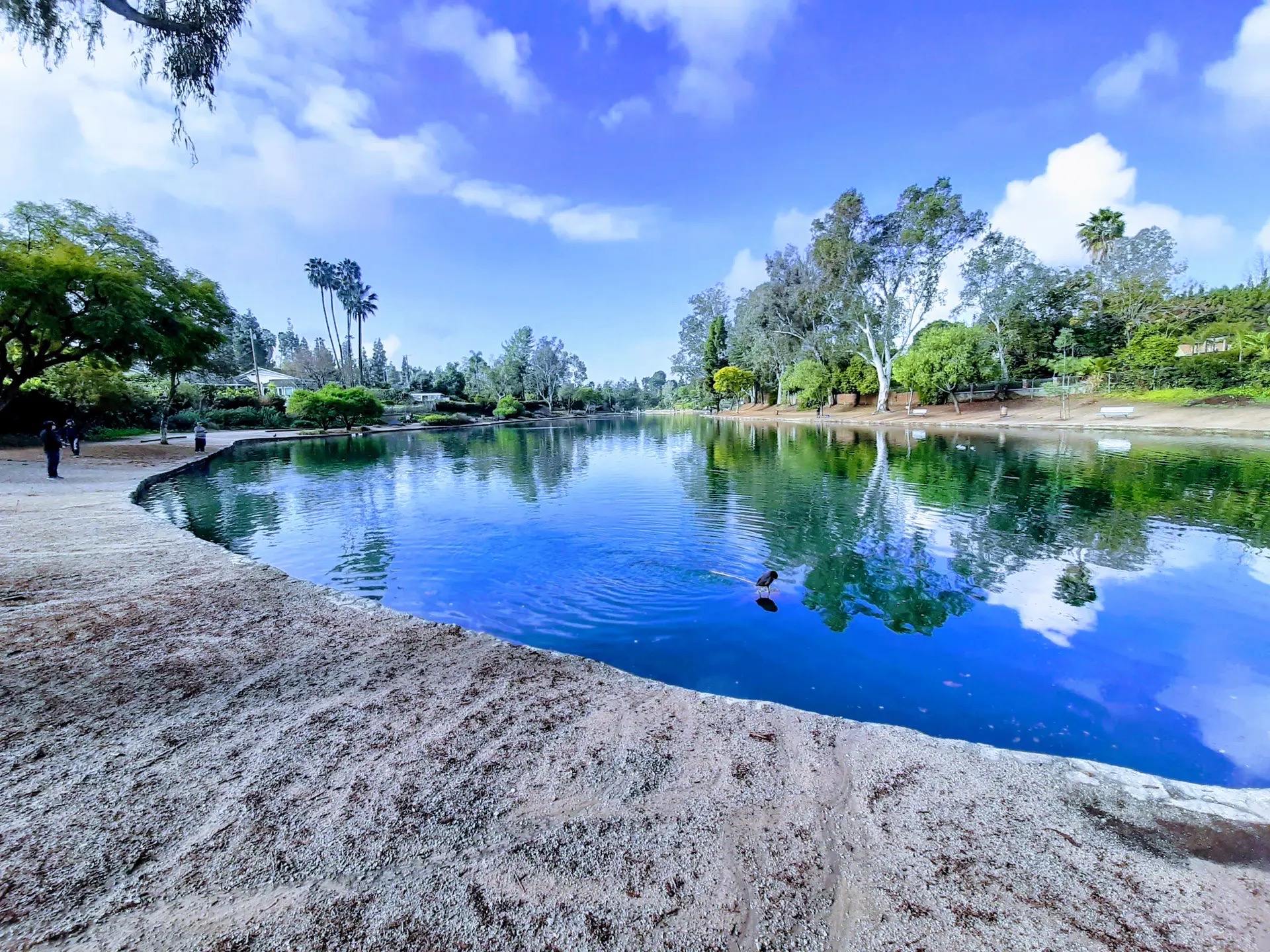 Lush wooded equestrian and walking path in Fullerton California, near Golden Hills