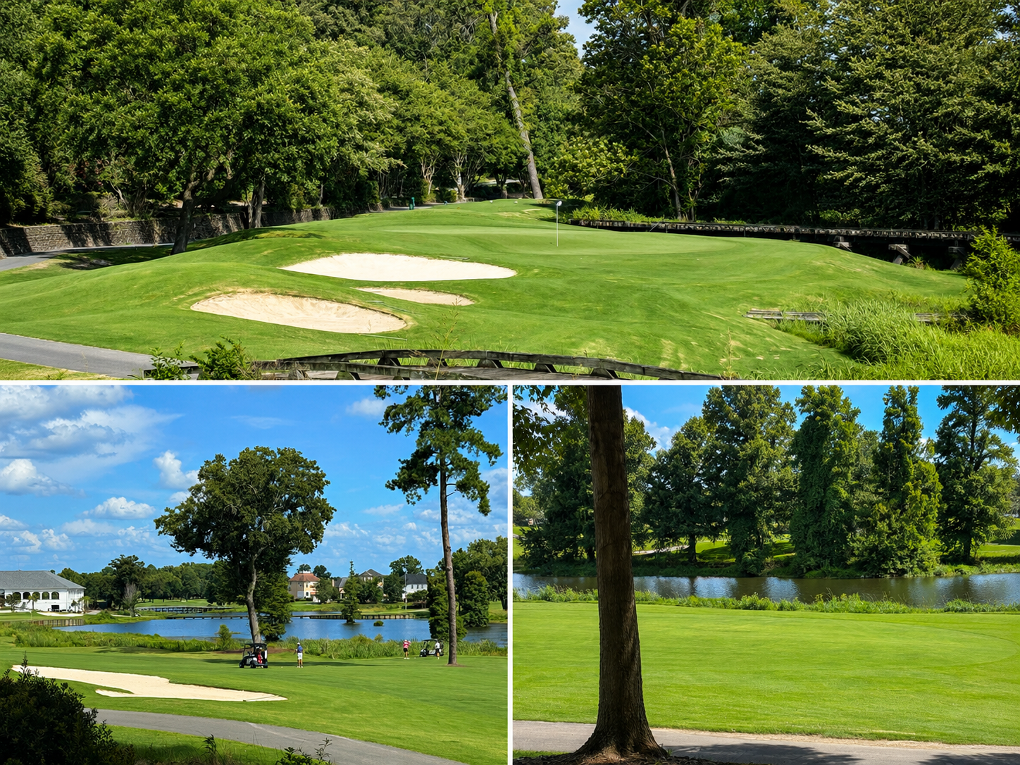 The River Golf Club in North Augusta with fairways along the Savannah River