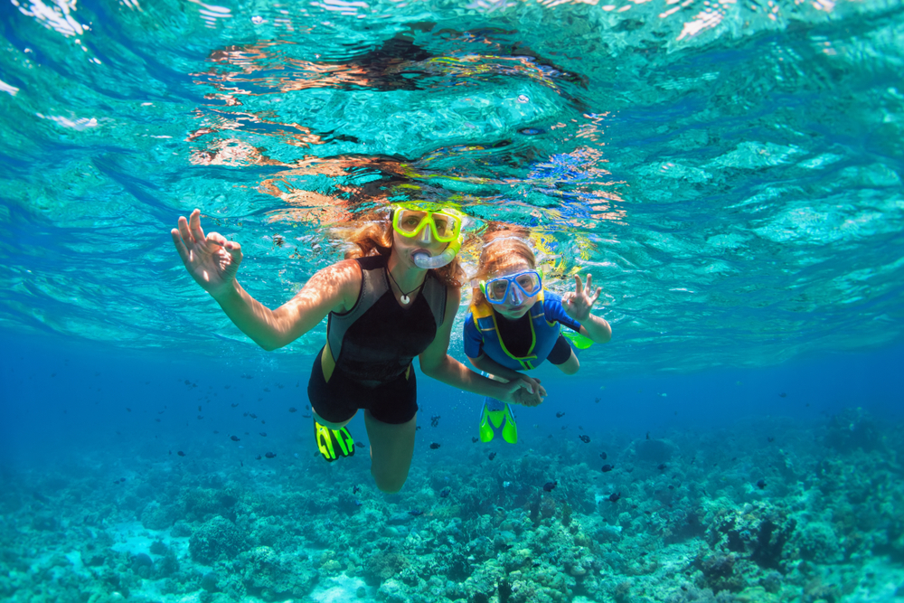 Colorful coral reef ecosystem at Sombrero Reef near Marathon in the Middle Keys