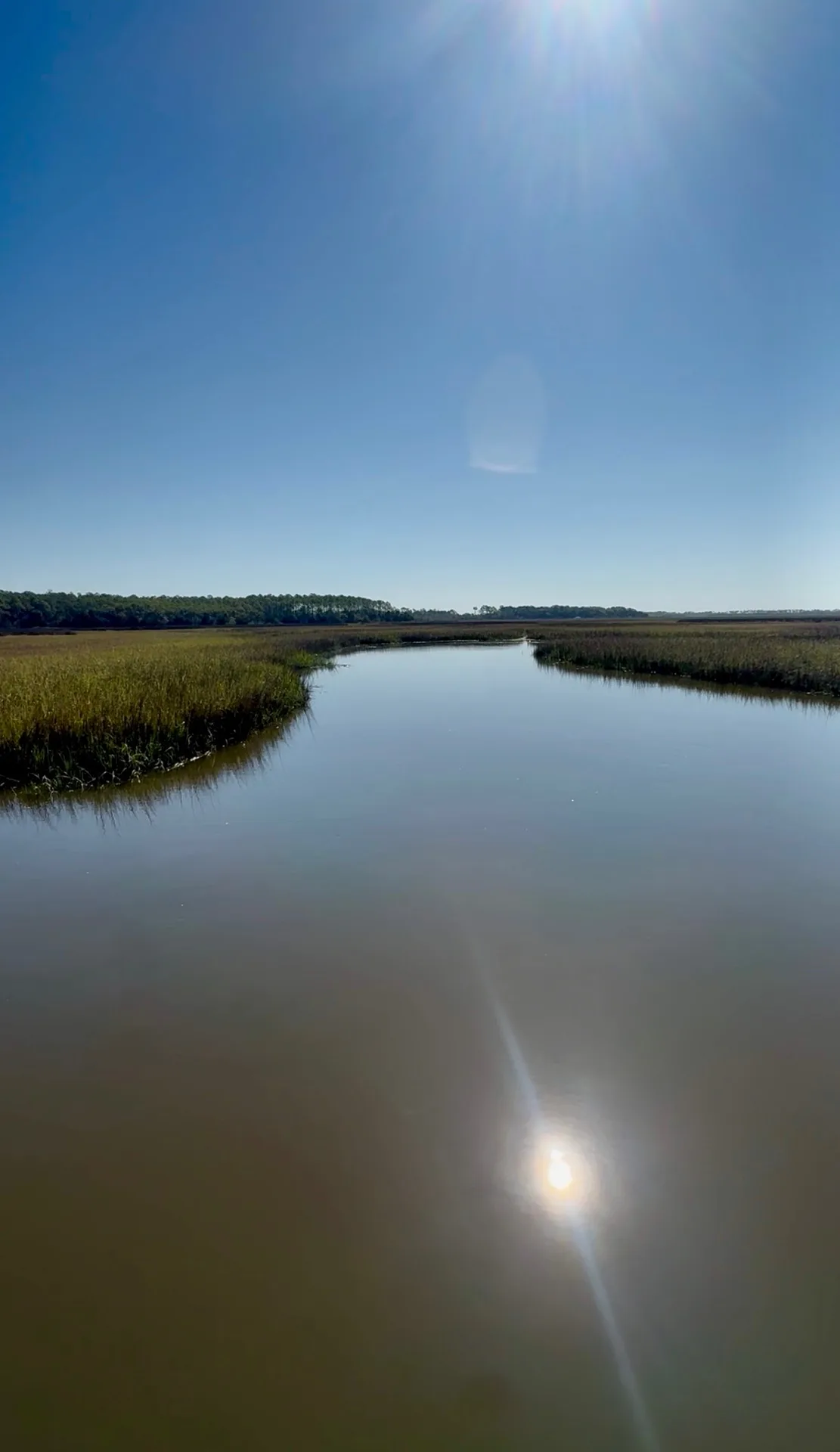 Mollie's real photo of Palm Valley, St. Johns County, Florida (IMG_4371)