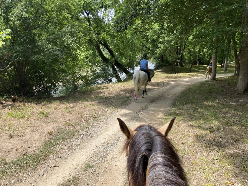 Horses on trails in Portofino community