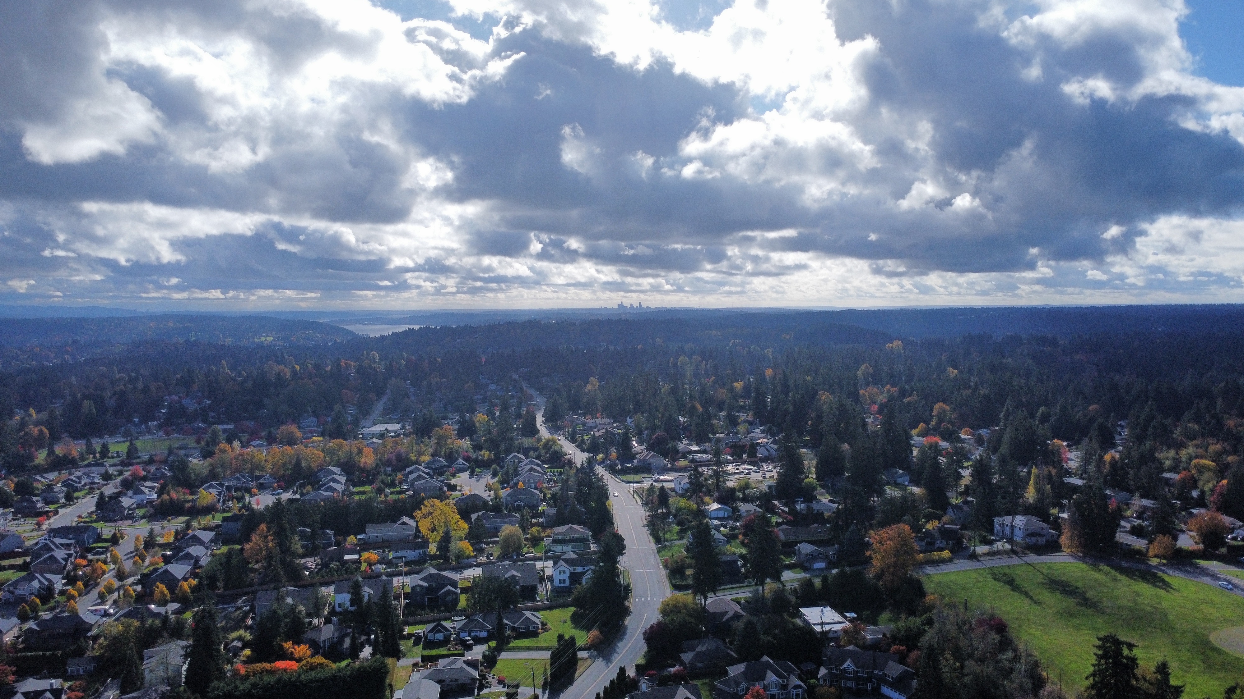 Aerial view of Brier's residential neighborhoods, a wooded suburban community in the Pacific Northwest