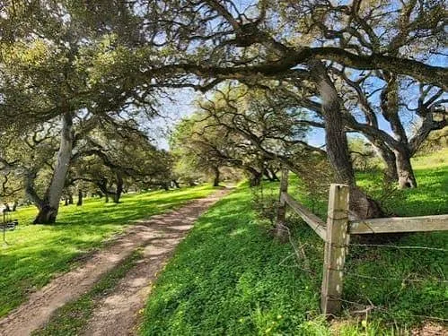Royal Oaks neighborhood in Santa Cruz County California