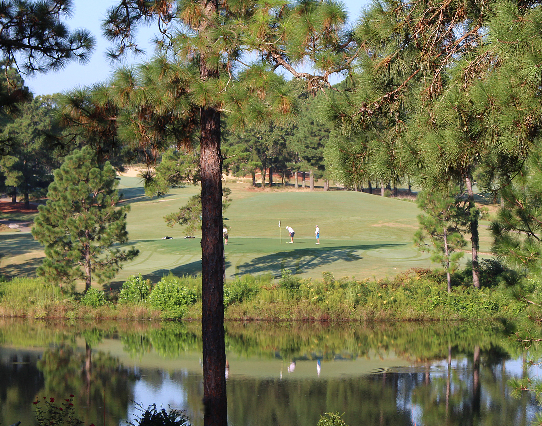 Twilight view across a Pinehurst golf fairway with a lit clubhouse in the pines