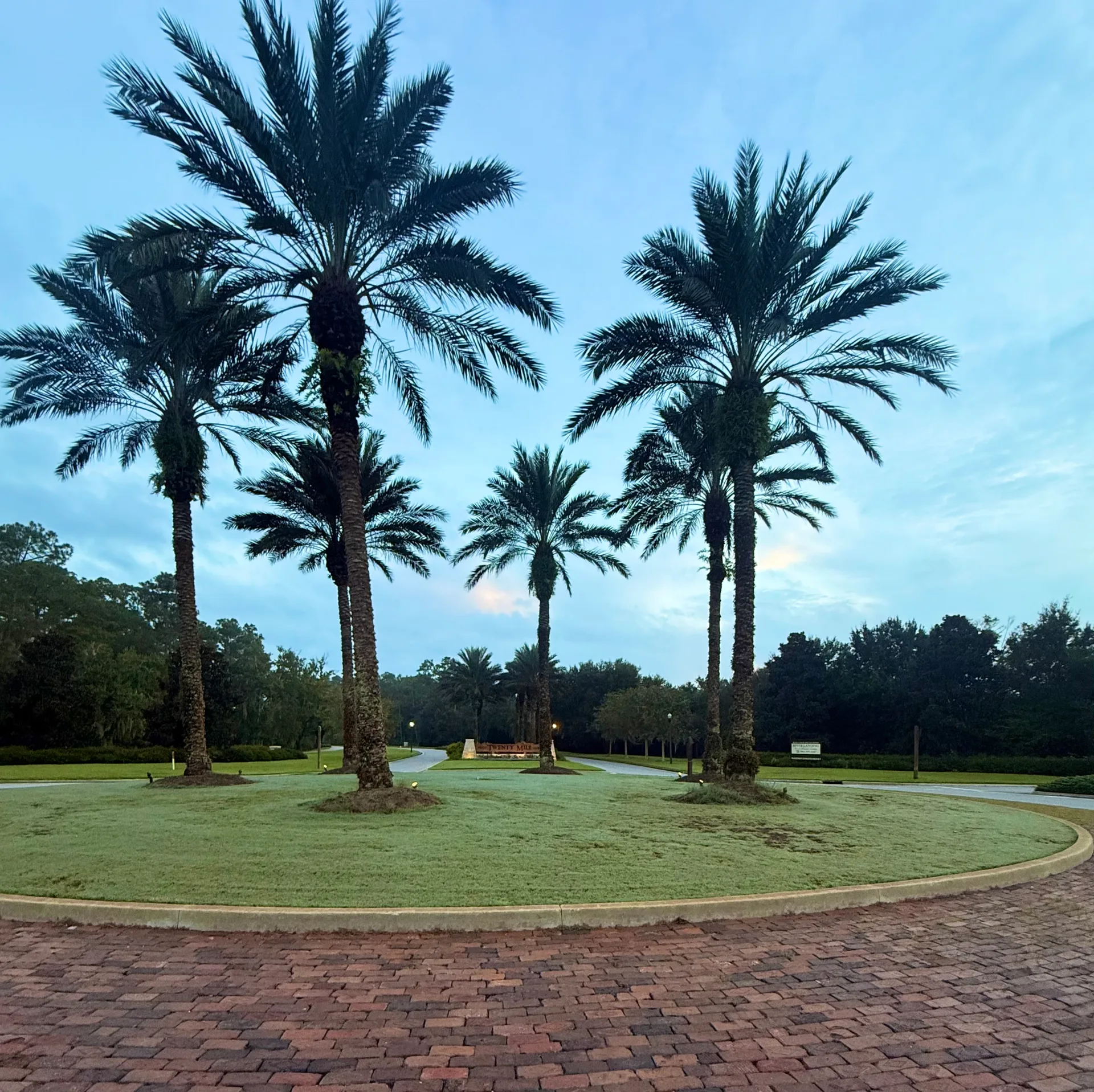 Mollie's real photo from the Twenty Mile area in Nocatee, St. Johns County, Florida