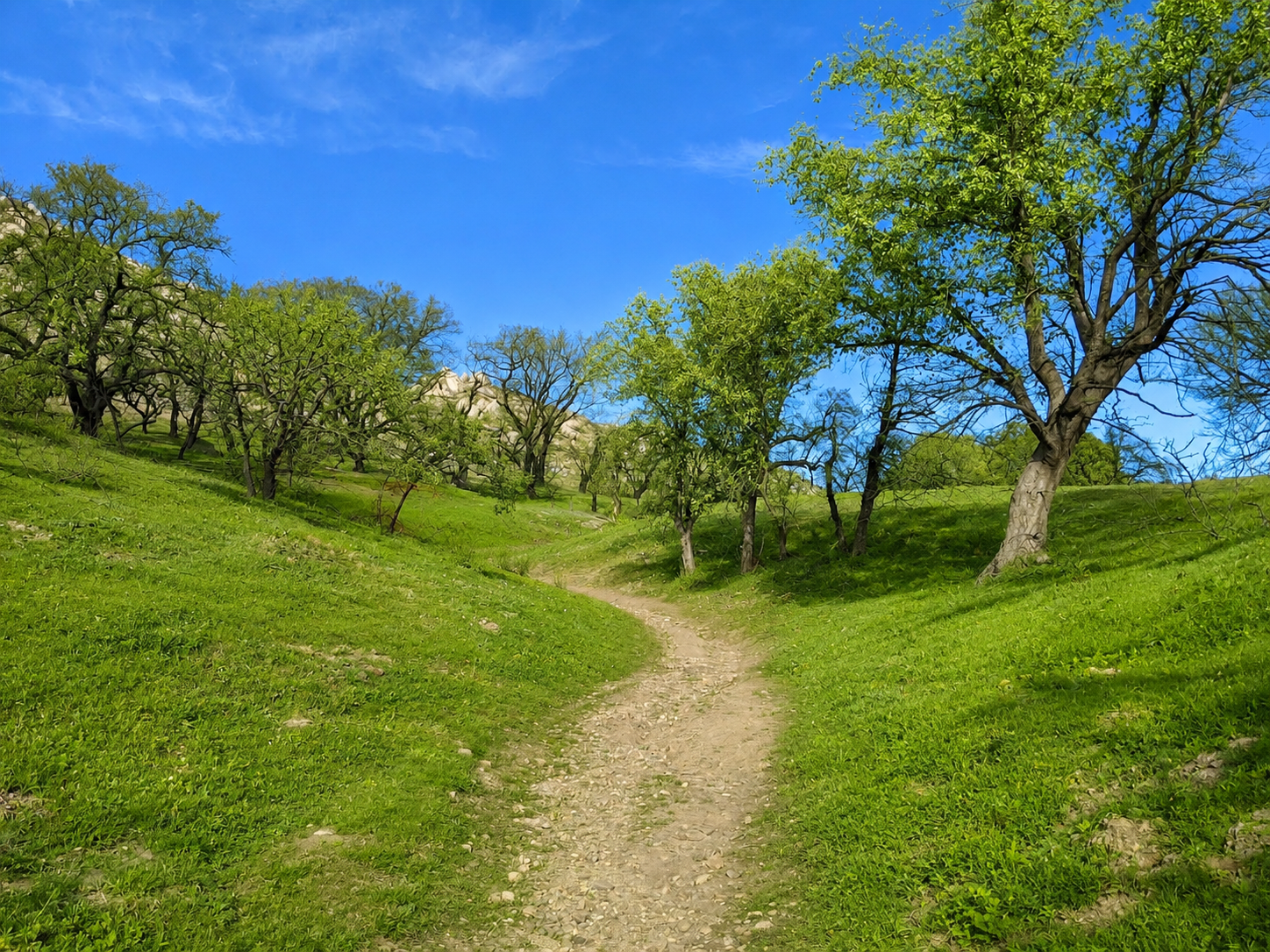A hiking trail winding through natural terrain near the Copper Canyon area in Murrieta California