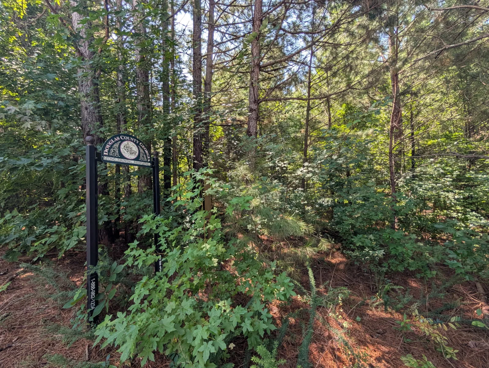 0 Brookmont Parkway, Douglasville, GA 30135 - Land / Development Opportunity