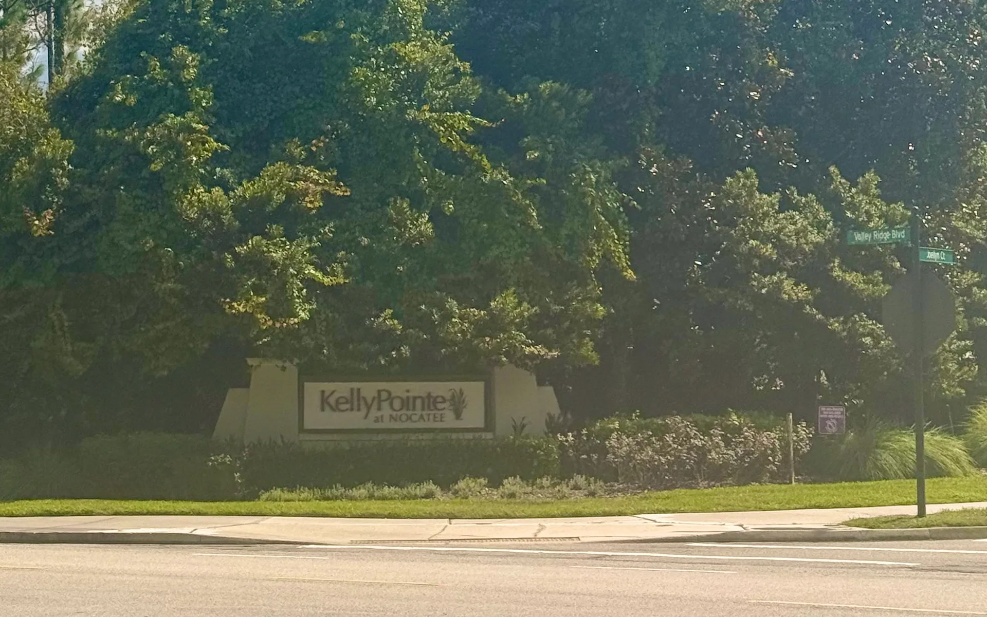 Mollie's real photo of the Kelly Pointe streetscape in Nocatee