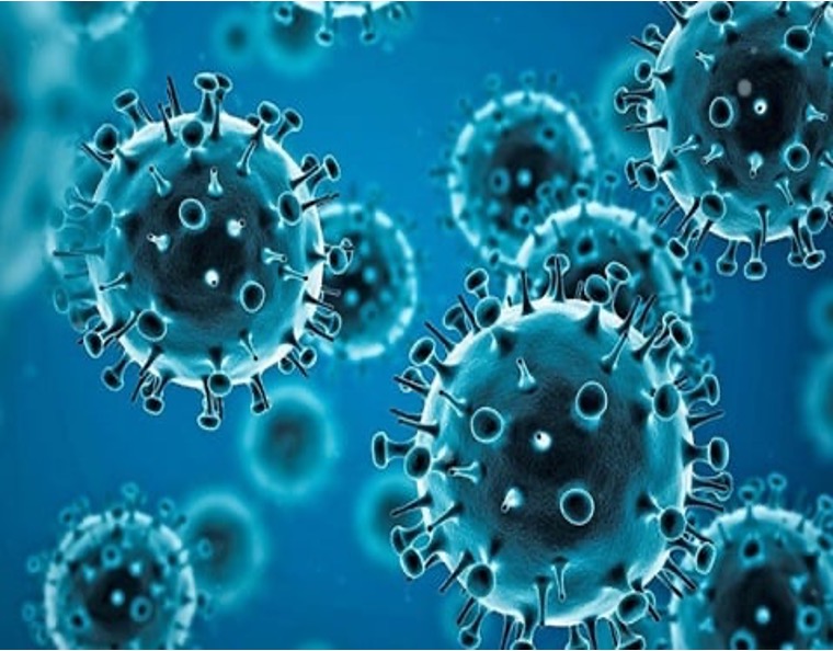 Microscopic rendering of virus particles, representing the pathogens managed through proper infection control in dental settings