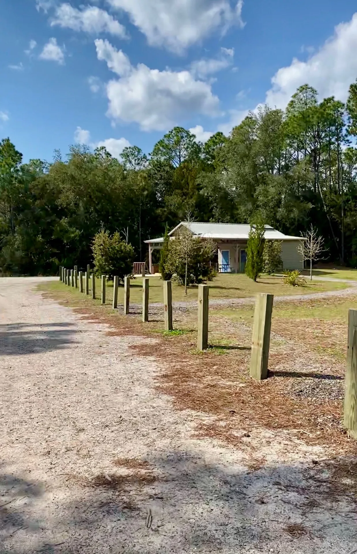 Mollie's real photo from around Nocatee, St. Johns County, Florida (IMG_4383)