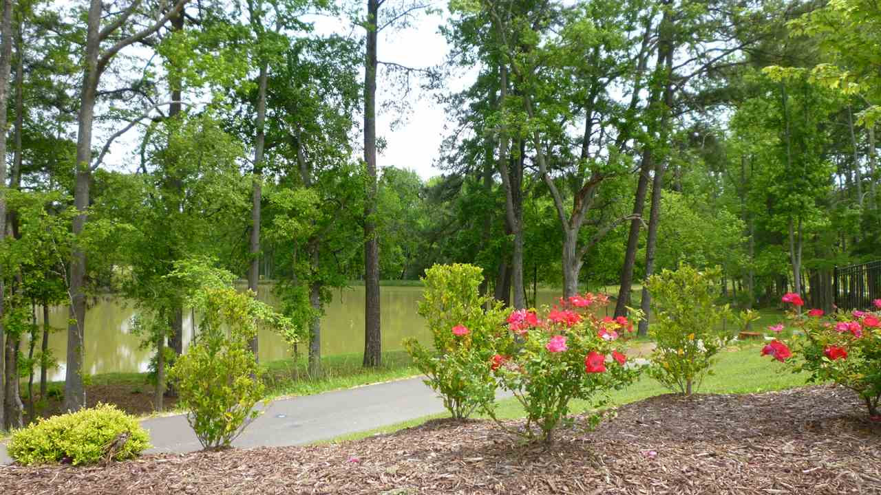 Green space and parks around The Villages of Apex, Apex NC