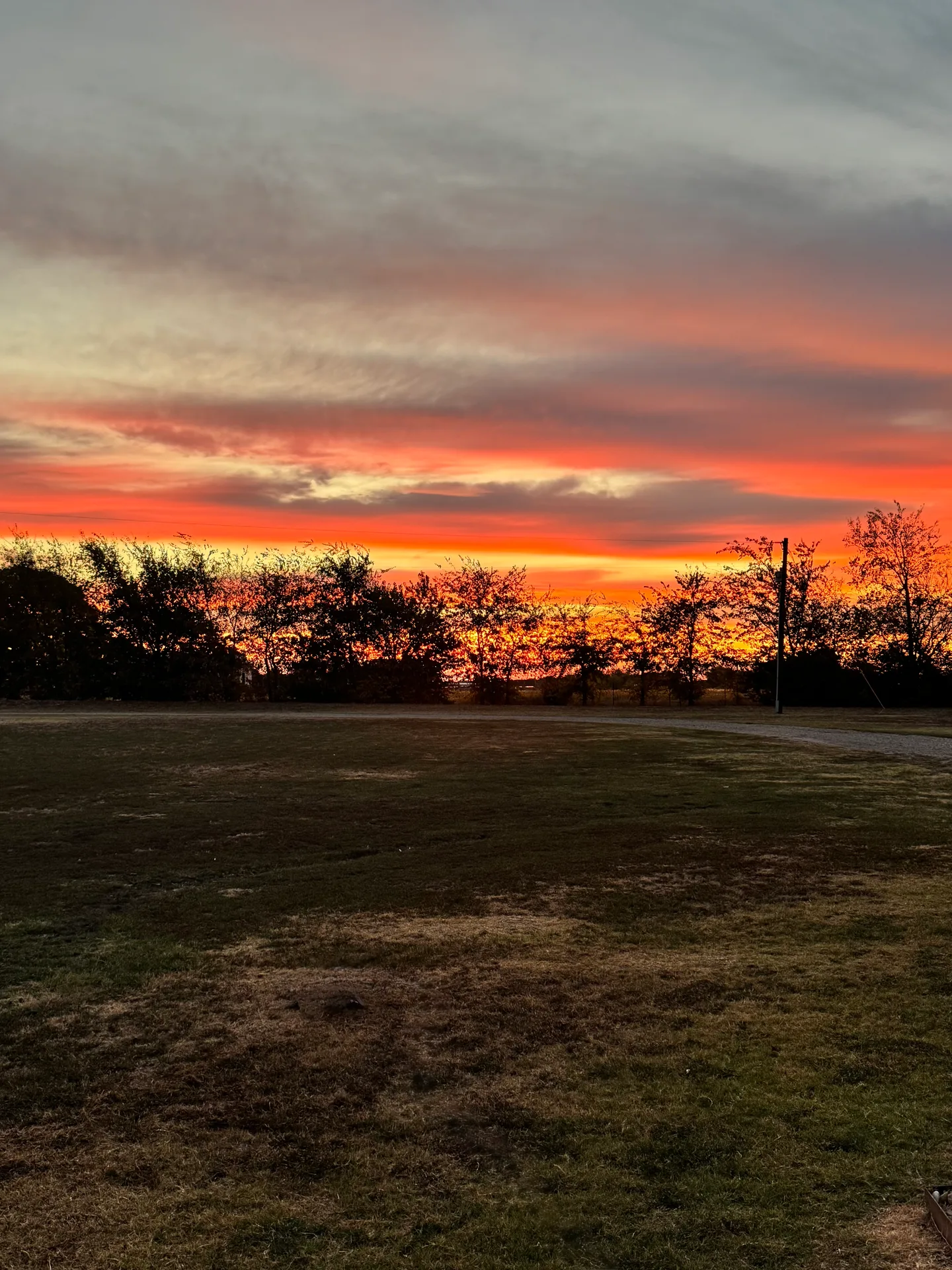 Sunset over a grassy field with a line of trees in Lamar County, Texas
