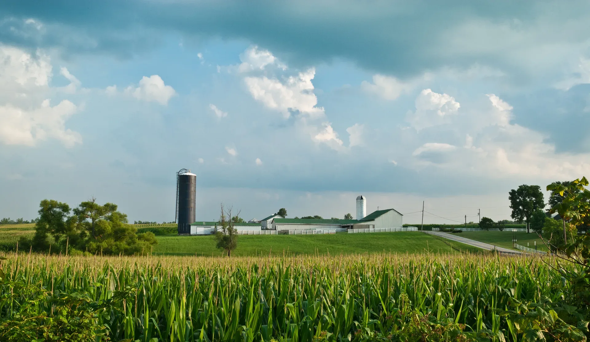 Wide landscape of rural Greene County farmland with silos under a cloudy sky