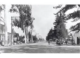 Black and white historical photograph of a quiet unpaved residential street lined with tall trees and simple houses