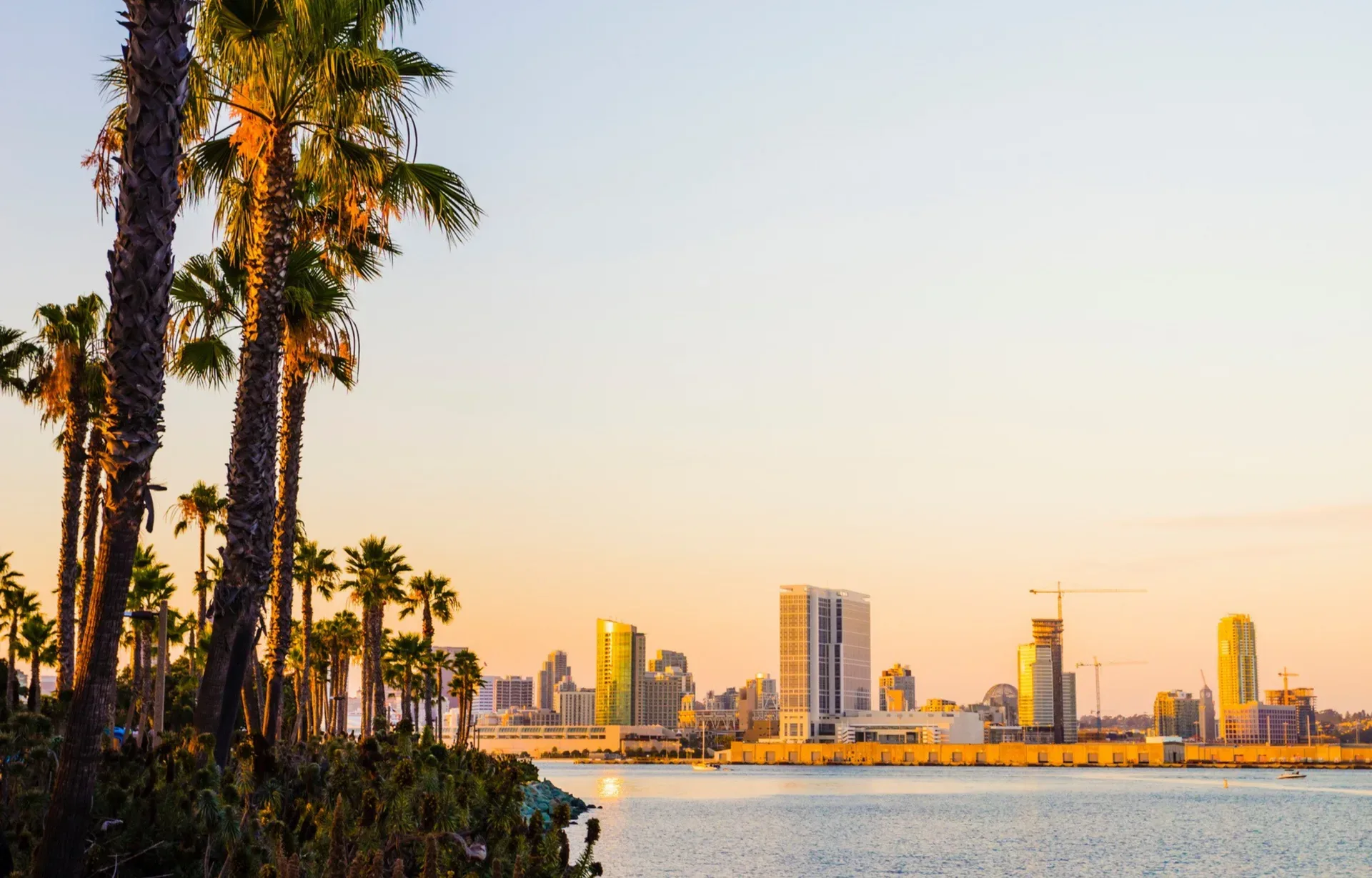 San Diego skyline across the water at dusk, with palm trees in the foreground