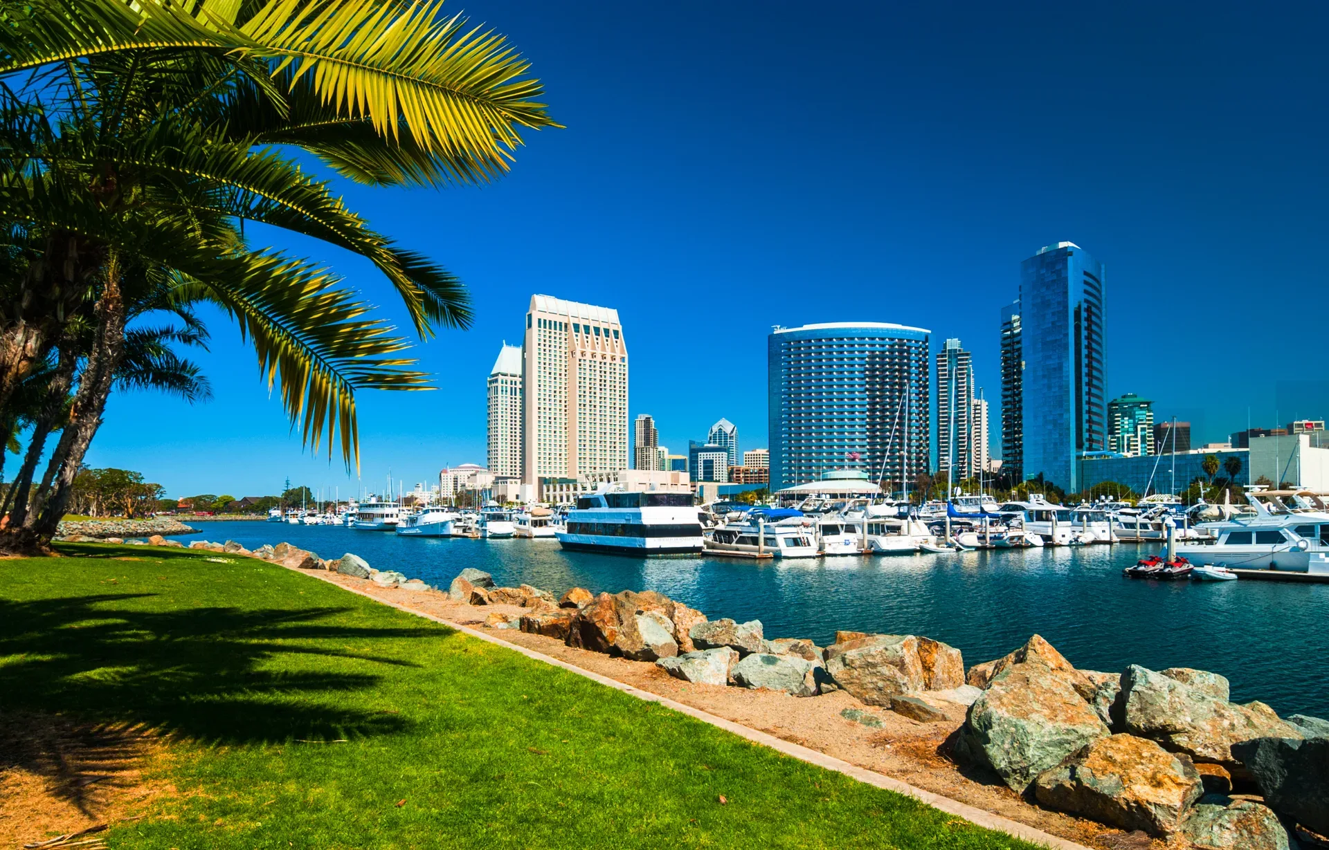 The San Diego skyline across the harbor on a sunny day