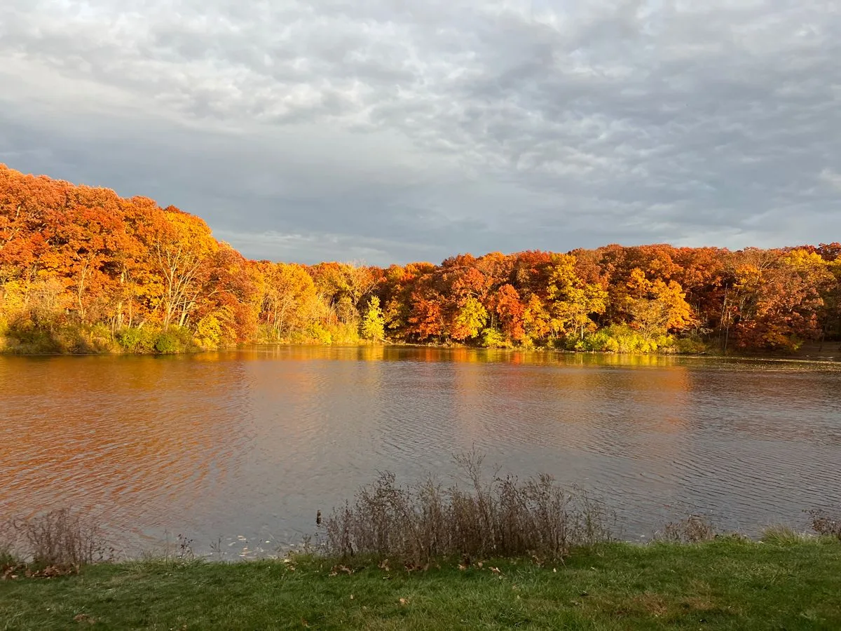 Lemon Lake ringed by autumn trees in Northwest Indiana